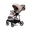 Прогулочная коляска Peppy Amici (Beige) бежевый, рама золото (LX) Прогулочная коляска Peppy Amici (Beige) бежевый, рама золото (LX)