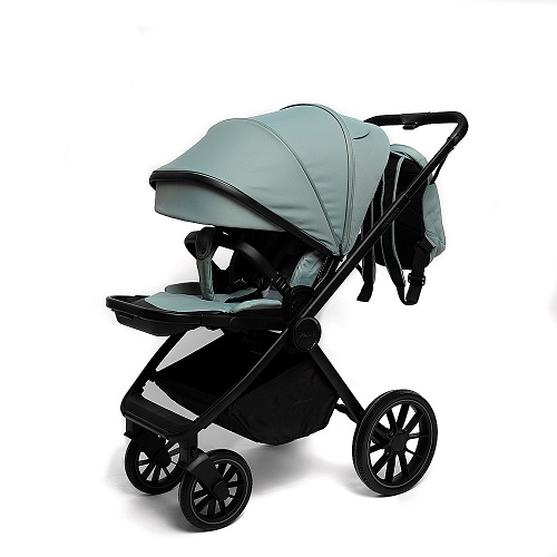 Коляска детская Peppy Monaco 2 в 1 Mint (мятный), рама черная Коляска детская Peppy Monaco 2 в 1 Mint (мятный), рама черная