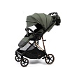 Прогулочная коляска Peppy Amici (Green) зеленый, рама золото (LX) Прогулочная коляска Peppy Amici (Green) зеленый, рама золото (LX)