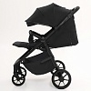 Прогулочная коляска Peppy Bruno (Black Cosmos) черный Прогулочная коляска Peppy Bruno (Black Cosmos) черный
