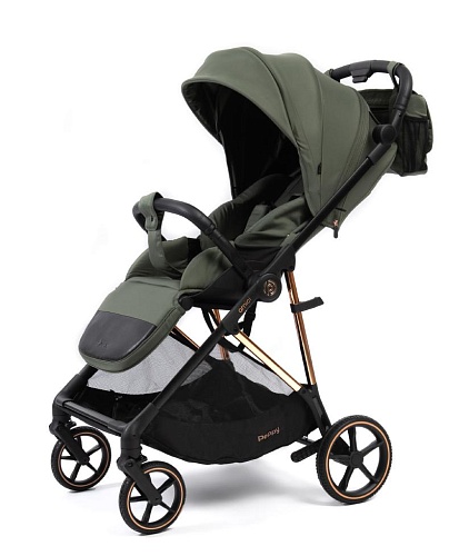 Прогулочная коляска Peppy Amici (Green) зеленый, рама золото (LX) Прогулочная коляска Peppy Amici (Green) зеленый, рама золото (LX)