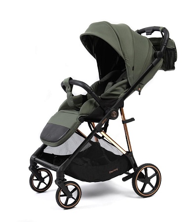 Прогулочная коляска Peppy Amici (Green) зеленый, рама золото (LX)